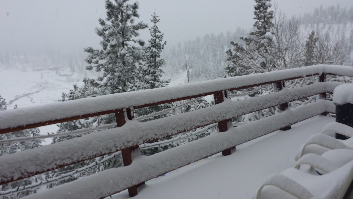 SnowingBackPorch